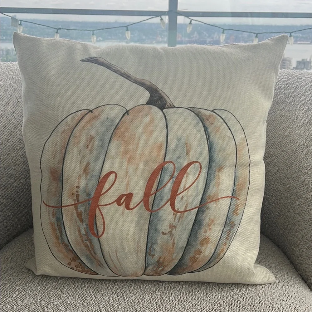 West Elm charming pillow